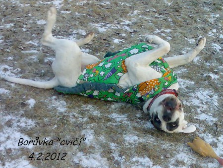 na-cvicaku-4.2.2012-01.jpg